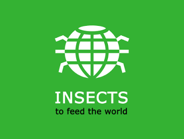 FAO Konferenz „Insects to Feed the World“